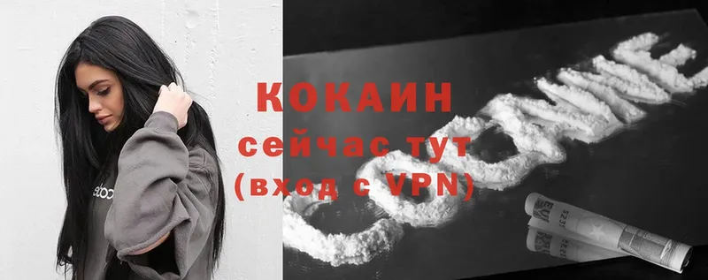 где можно купить   Кущёвская  Cocaine Эквадор 